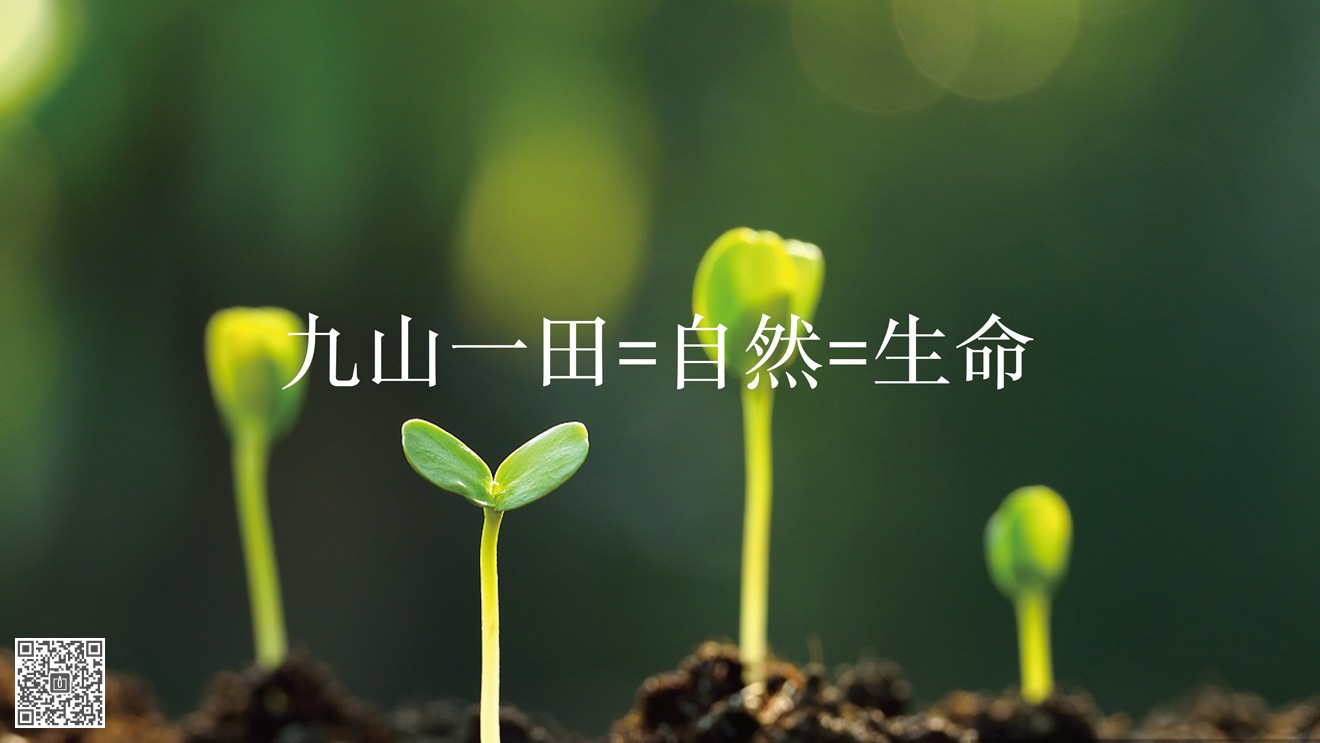 九山一田